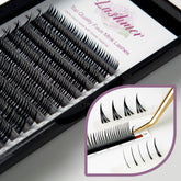 Premade Wet Look Lashes  | Lashmer | C, D Curl - Lashmer